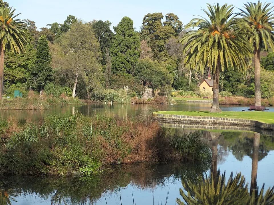 Lake in the Royal Botanic Gardens photographed in 2018