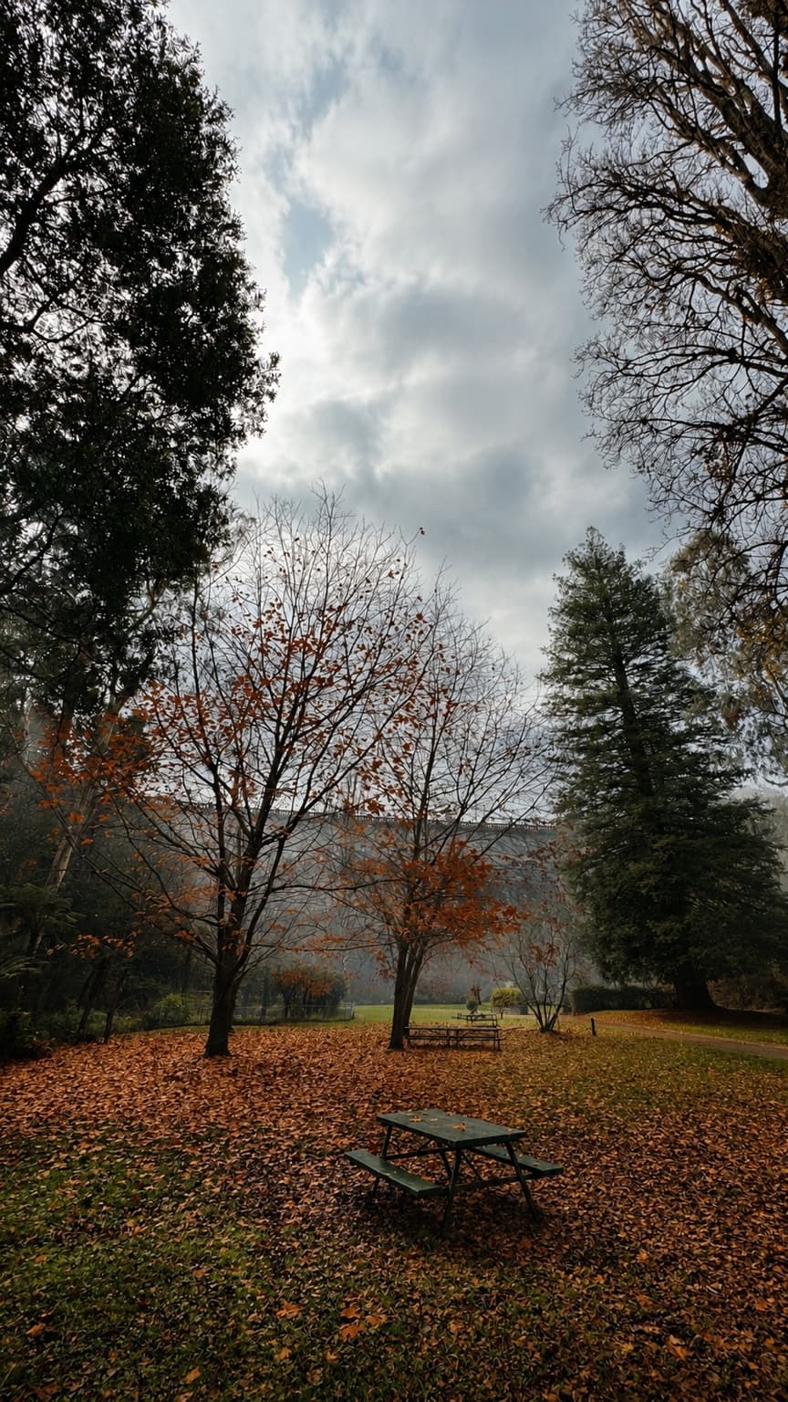 Single picnic bench in autumn leaves at the foot of the reservoir wall