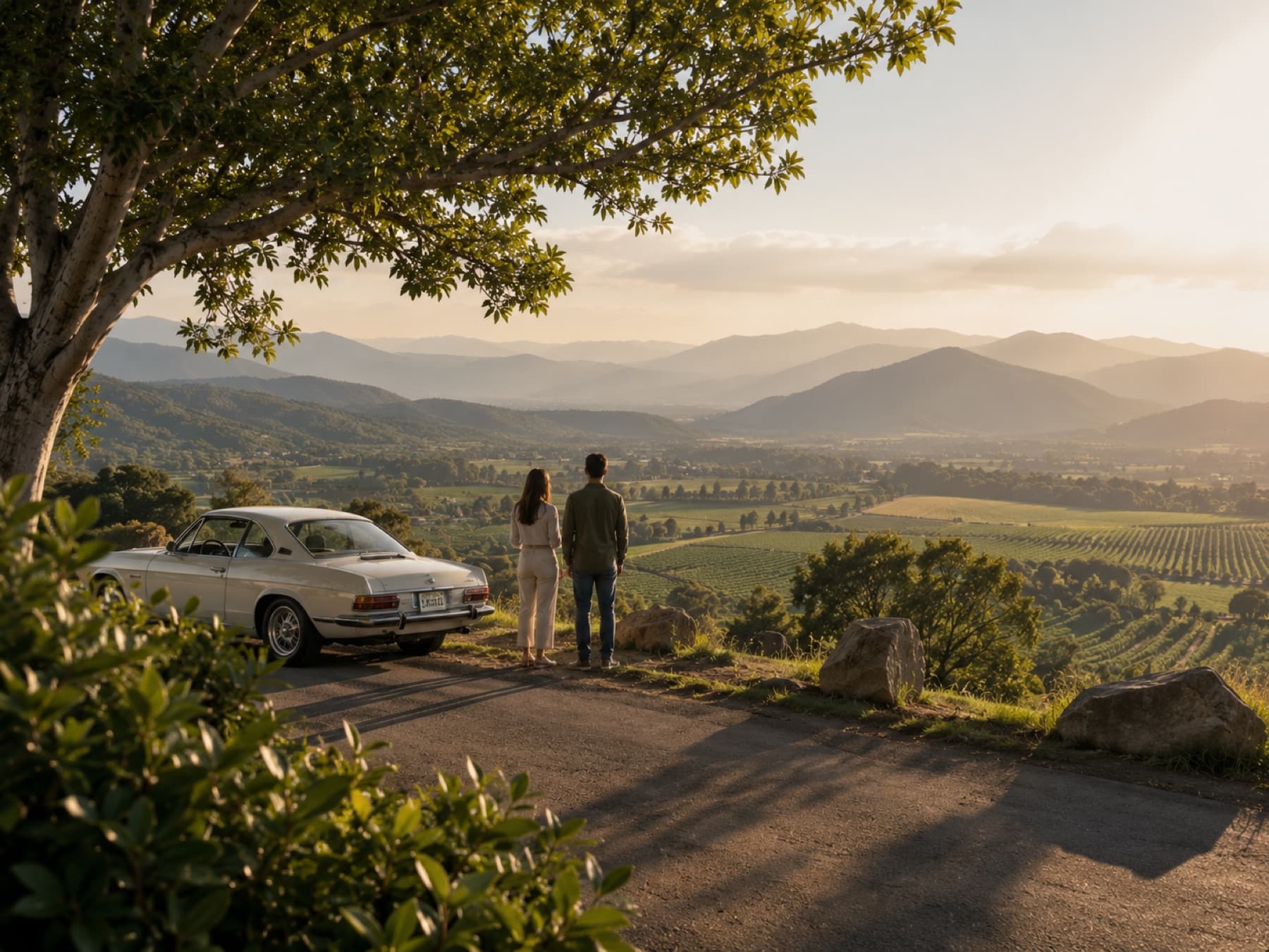 A lookout over the ranges at golden hour