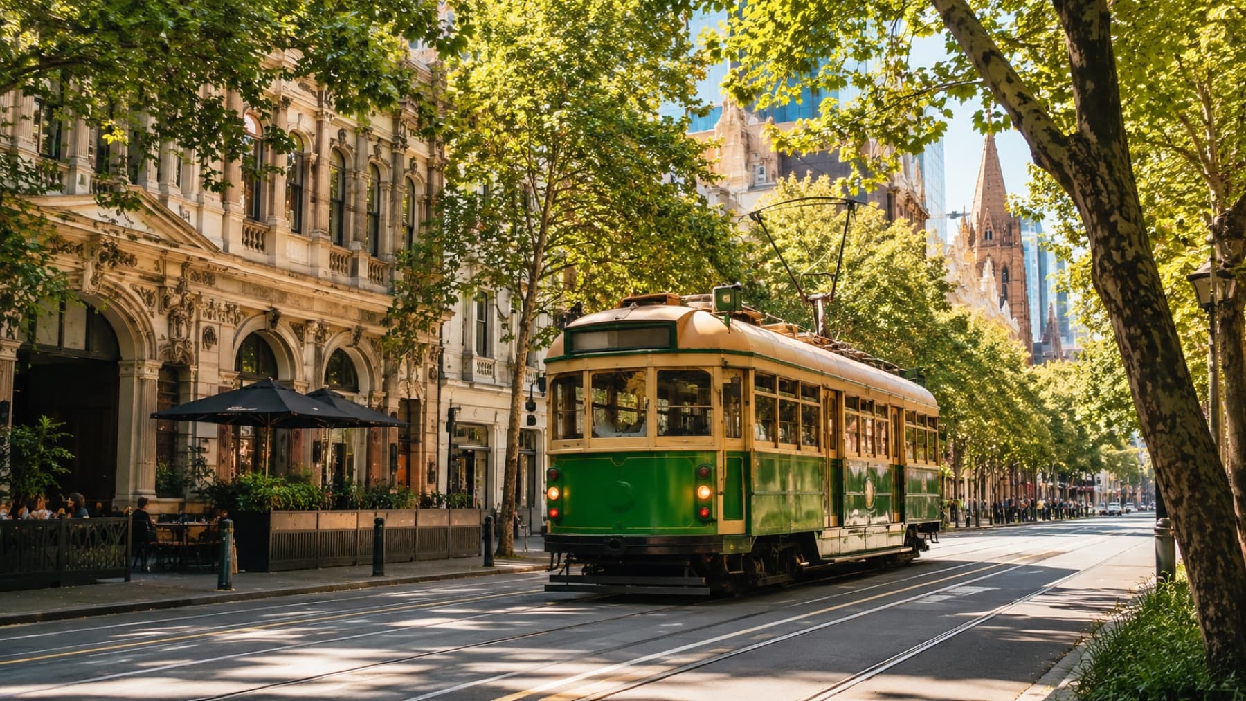 A heritage tram under plane trees on a city street